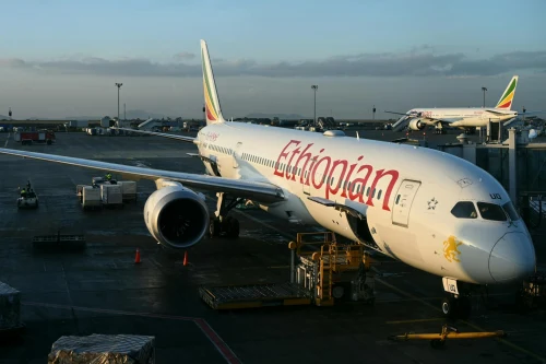 Kenya Airways (KQ) aircraft on the apron.