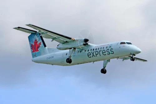 Regional Express (ZL) aircraft on the apron under clear skies.