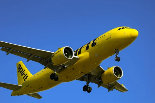 Spirit Airlines (NK) aircraft on the apron under clear skies.