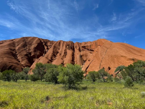 Stunning view of Uluru's red rock under a clear blue sky with lush greenery