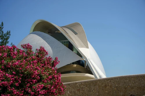 Contemporary design of Queen Sofia Palace of Arts in Valencia, Spain, against clear blue sky