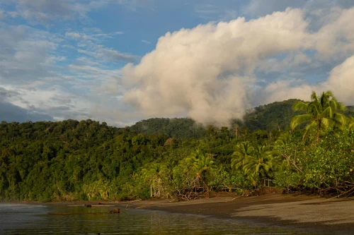 Explore a tranquil tropical beach backed by lush green mountains and fluffy white clouds in a clear blue sky