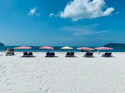 Picturesque scenery of empty sandy beach with sun loungers and umbrellas placed in row near sea against blue sky