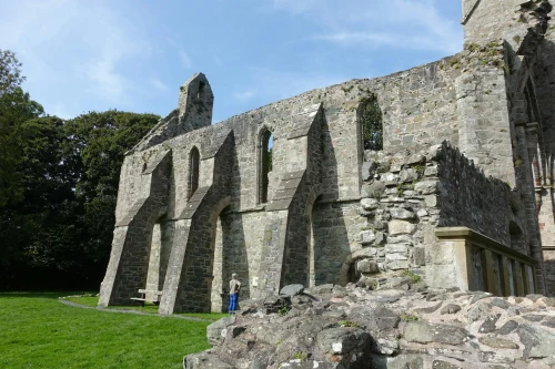 Explore the ancient stone structures of Jerpoint Abbey against a clear sky