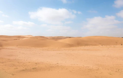 Explore the vast sandy landscapes of Jaisalmer's iconic desert under a clear blue sky