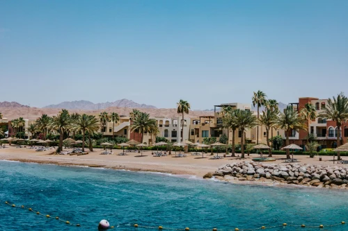 Scenic view of palm-lined beach and resort in Aqaba, Jordan on a sunny day