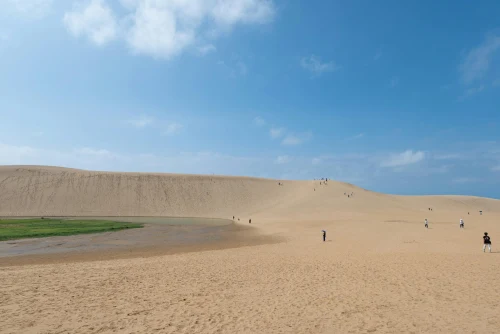 Expansive Tottori Sand Dunes under a bright blue sky, Japan's iconic desert landscape