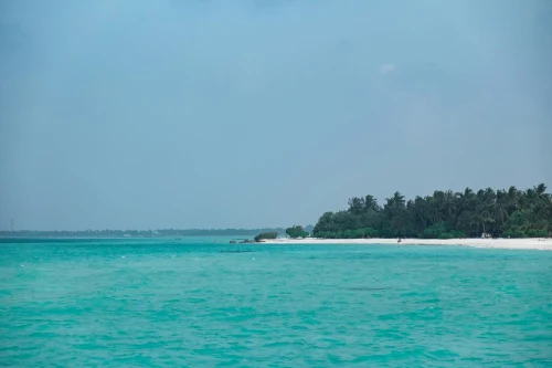 A serene tropical beach with turquoise waters and lush greenery under a clear sky