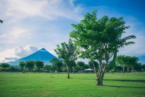 Capture the serene beauty of Mayon Volcano amidst a lush green field and clear skies
