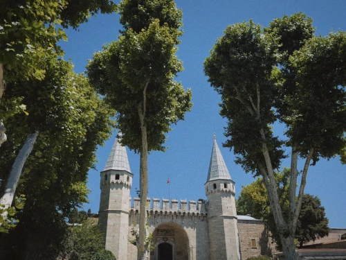 View of Topkapi Palace grand entrance framed by lush trees under a clear blue sky