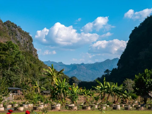 Lush green landscape with banana plants in Mae Hong Son, Thailand, against a mountain and blue sky backdrop