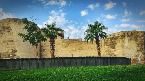 Historic fortress walls with palm trees under a blue sky in Şanlıurfa, Turkey