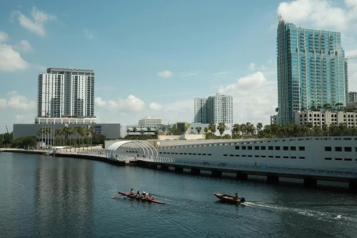 Urban waterfront scene with rowers and modern buildings under a clear sky